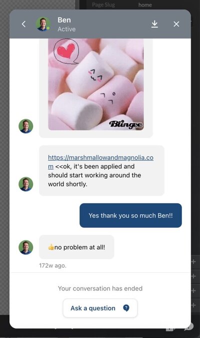 Example of live chat with Showit support team