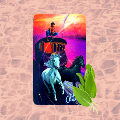 Sage and Seeker Tarot