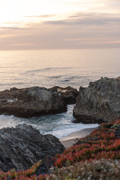 The Madrona sonoma Wedding Photography