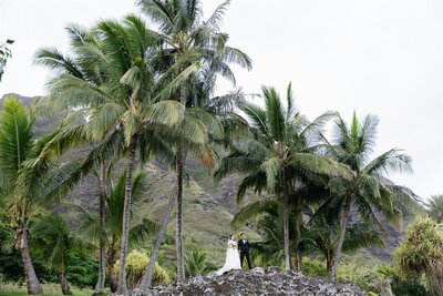 A wedding couple standing at the top of a rocky overlook surrounded by palm trees 