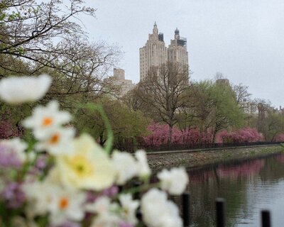 spring central park elopement at jackie onassis reservoir upper manhattan