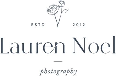 Lauren Noel Photography Sparks Maryland Wedding Engagement Family Portrait Maternity Photographer1