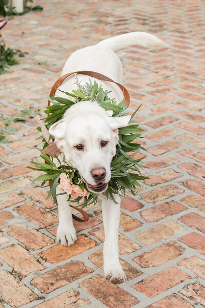 148-IL_MERCATO_NEW_ORLEANS_WEDDING