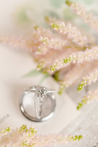 Wedding Previews-1
