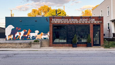 Veterinary clinic design by one of the leading architectural firms in Indianapolis 