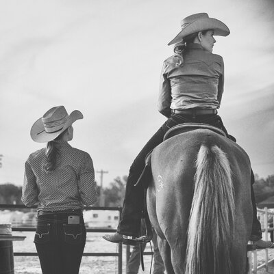 pexels-brett-sayles-2950648