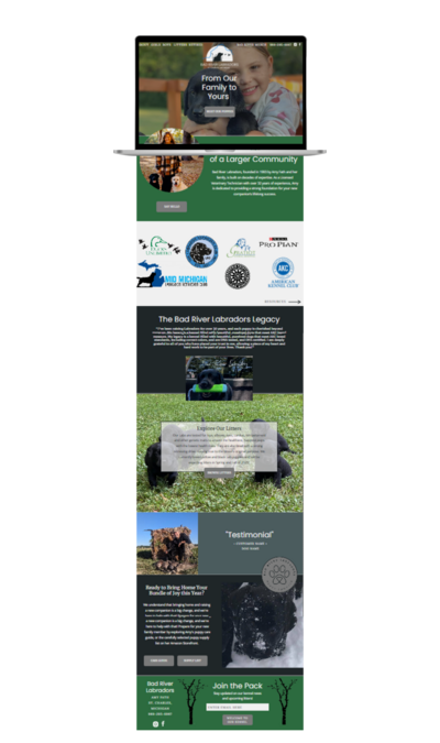 BRL Homepage Mockup