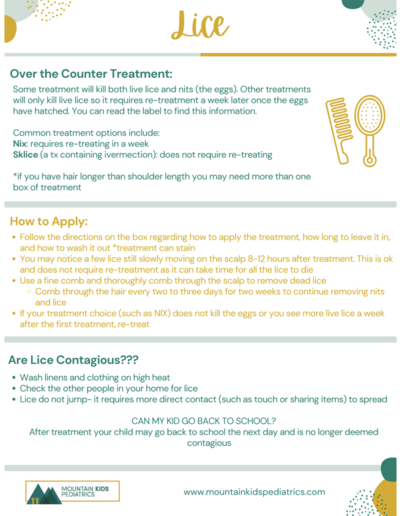 Picture of Printable lice Handout PDF