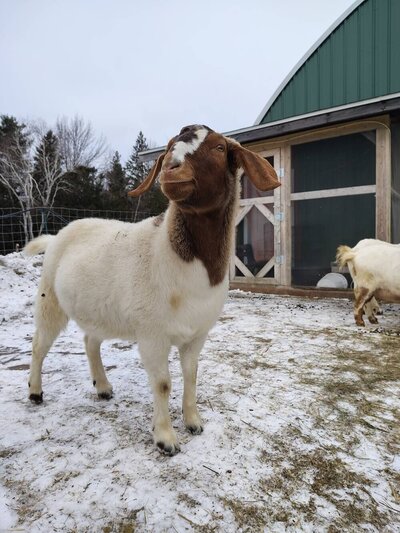 small - IMG_20250116_113442221_HDR copy