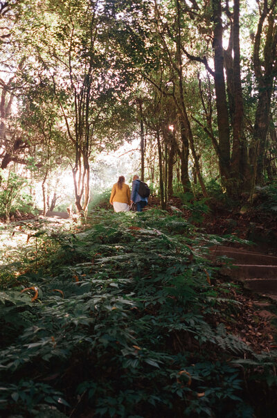 Boston Film Wedding Photographers, Long Hill Summer Wedding on Film