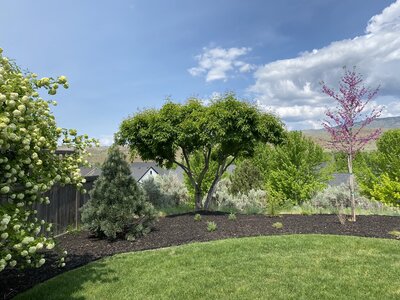 IMG_3826