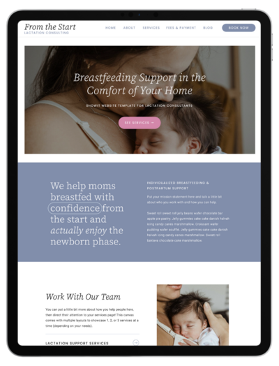 Lactation Consultant Template- iPad (1)