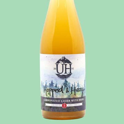 A bottle of Hopped & Hazy hard cider on a green background. Label is a watercolor painting of trees and orchards.