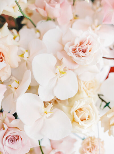 White orchid and pink Roses on a table. 