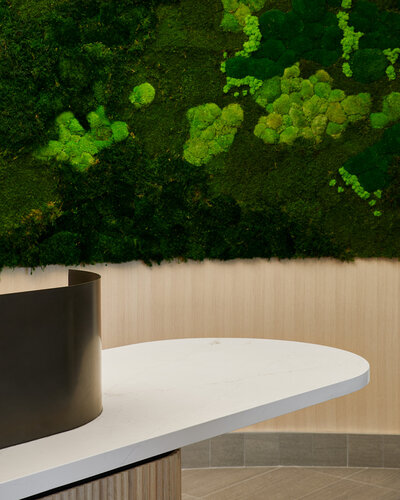 A large white planter and lush biophilic wall