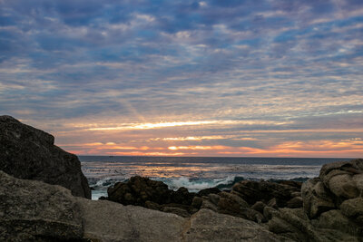 Mike_Steelman_Big_Sur_Engagements-221