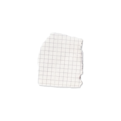 graph paper website design element