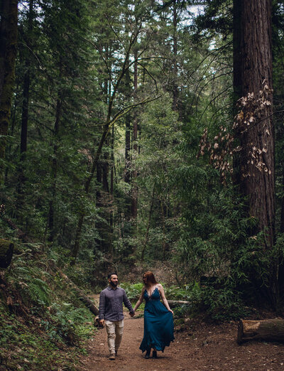 Seeking Venture Photo team among the redwoods.