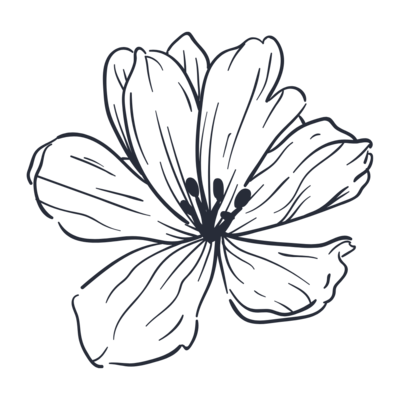 Brand flower icon representing Skinlux Beauty Bar, a luxury bridal makeup artist offering on-location services in NYC, NJ & PA.