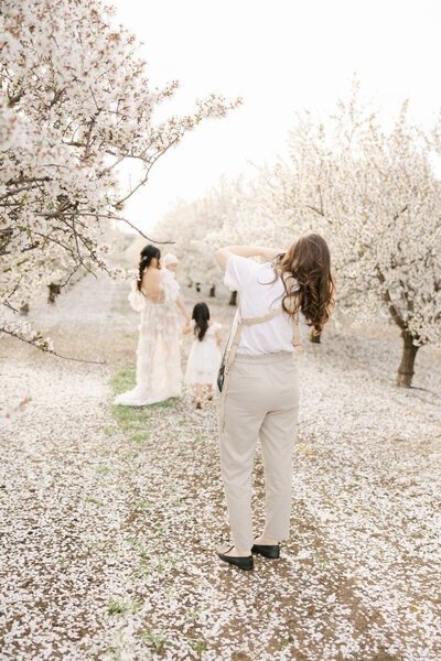 maternity photography  bay area with laurel smith