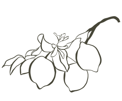 lemon illustration