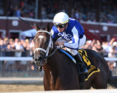 Bay Thoroughbred Mo Strike racing.