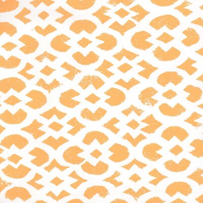 MAZE_MELON