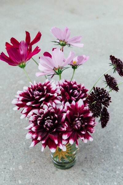 20157280_10105385362986235_2708362396528314932_o