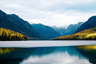 Vibrant Bowman lake reflecting golden larch trees and rugged mountains under a soft blue sky, captured by Joseph Mayden for his landscape photography print collection.
