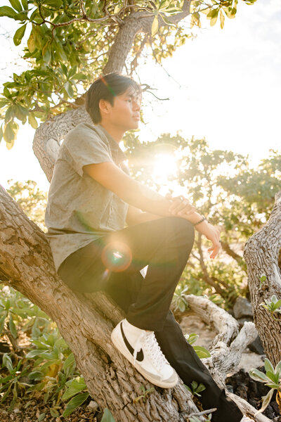 senior guy sitting tree with starburst of light