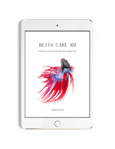 Example of the cover to a free guide offered displayed on the screen of an ipad