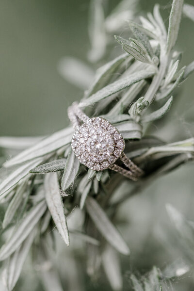 mckenzi_jon_engaged-4829
