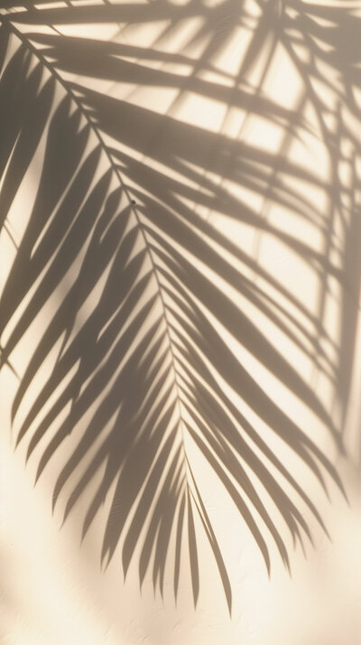 refancy-summer-zen-74