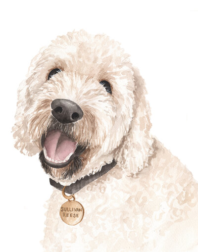 Sullivan Resse Pet Portrait