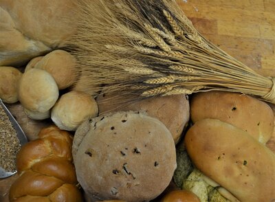 bread collage1