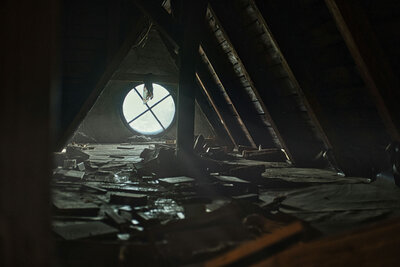 Attic showing signs of mold remediation needed
