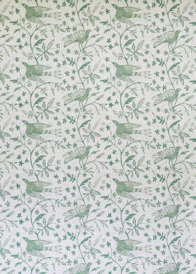 Jasmine Birds - Indian Green
