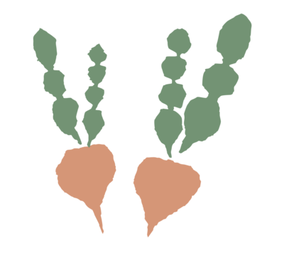 Radish Icon