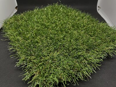 Fake grass for families