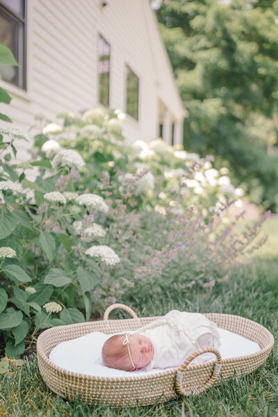 Newborn baby peacefully swaddled in a soft blanket, nestled in a basket surrounded by lush greenery in a garden. The serene setting highlights the baby's calm and gentle presence amidst nature