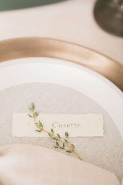 A wedding place card placed on a plate with a sprig of greenery.