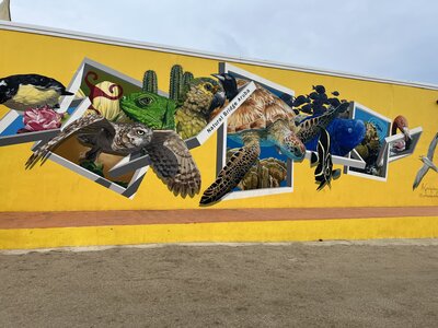 IMG_6258
