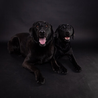 LM Studio Photography