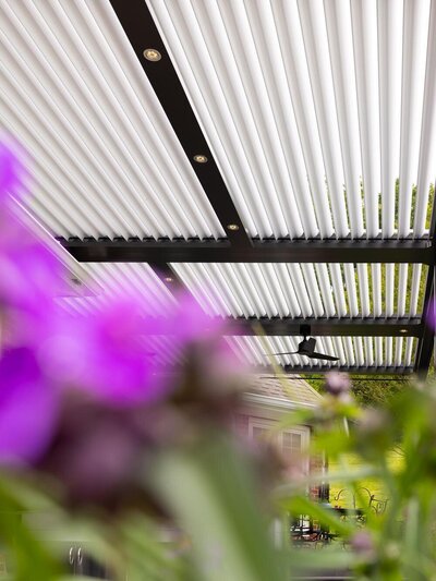 Low-angle view of a black StruXure pergola with white louvers and integrated lights, seen from behind a blurred plant and flower in the foreground. 