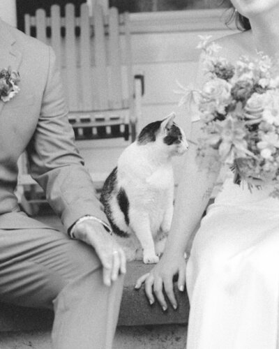 bride and groom pose with their cat after wedding ceremony during backyard wedding columbia mo
