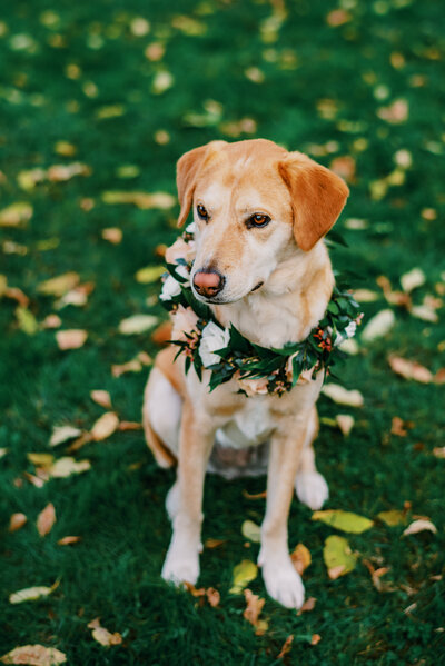 James-Emily-Wedding-photos-131