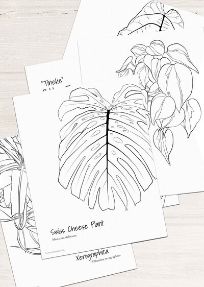 Townsend's houseplant coloring pages close up