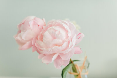 Professional photographer in Orange County, CA