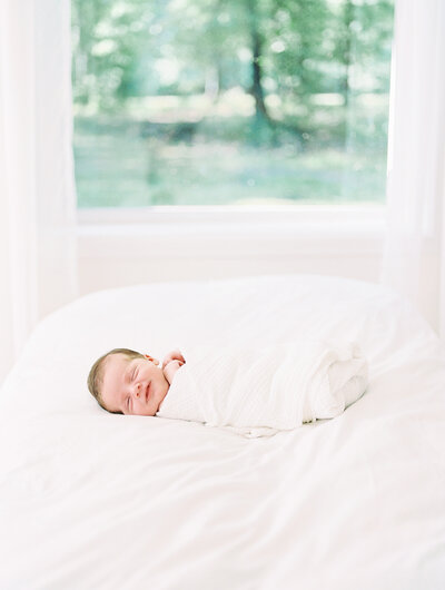 Arkansas Senior Year, Family, Newborn, and Maternity Photographer