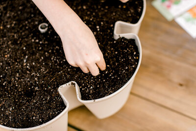 Planting seeds in a vertical planter